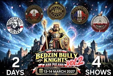 Będzin Bully Knights 2027: wystawa psów